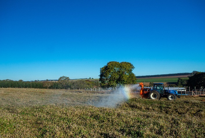 Pecuaristas buscam soluções para driblar escassez de insumos