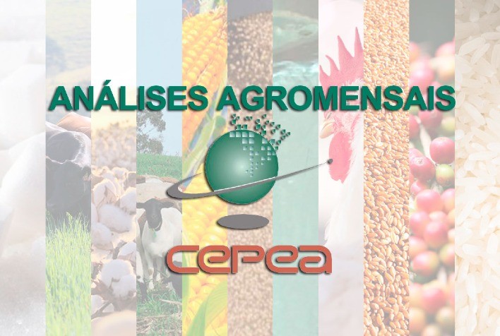 Estão disponíveis as agromensais de NOVEMBRO/2021 do Cepea