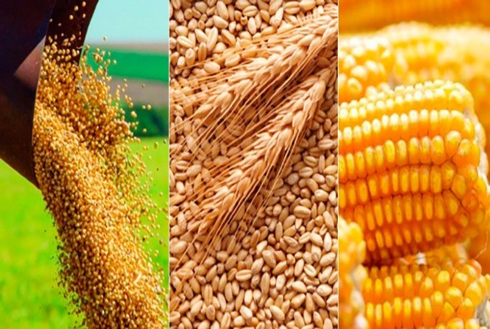 Os desafios das commodities agrícolas na safra 2022/23