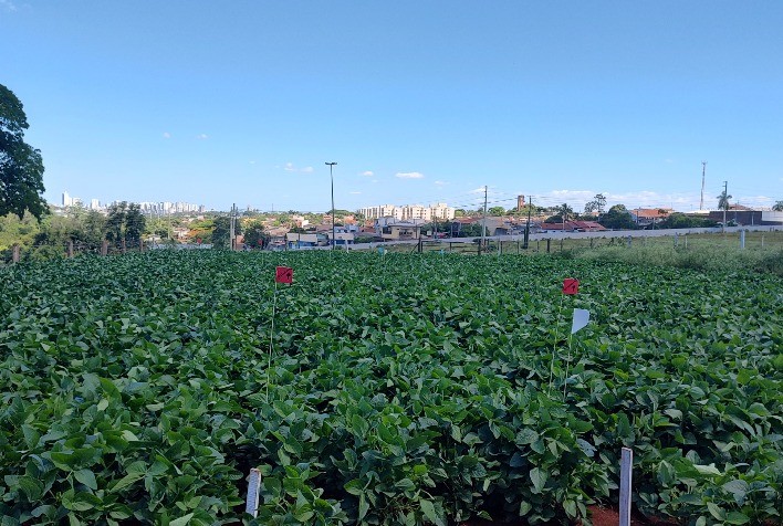 Smart Farm é vitrine tecnológica para sete agtechs