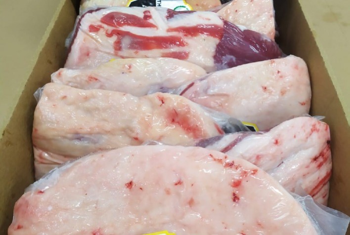 Exportação de Carne Angus cresce 26,8% e programa tem produtividade recorde