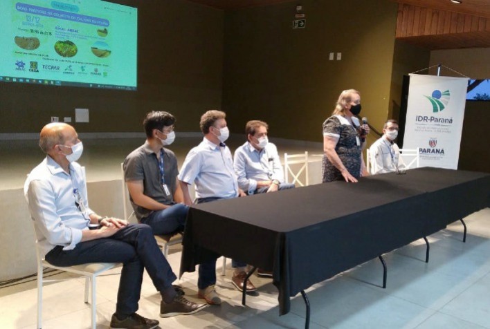 Em nota técnica, IDR-Paraná divulga orientações sobre colheita de feijão