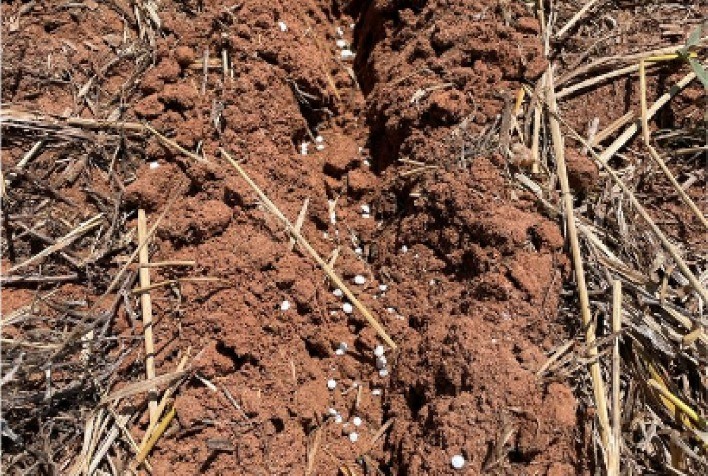 Fertilizante: o pouco que faz a diferença!