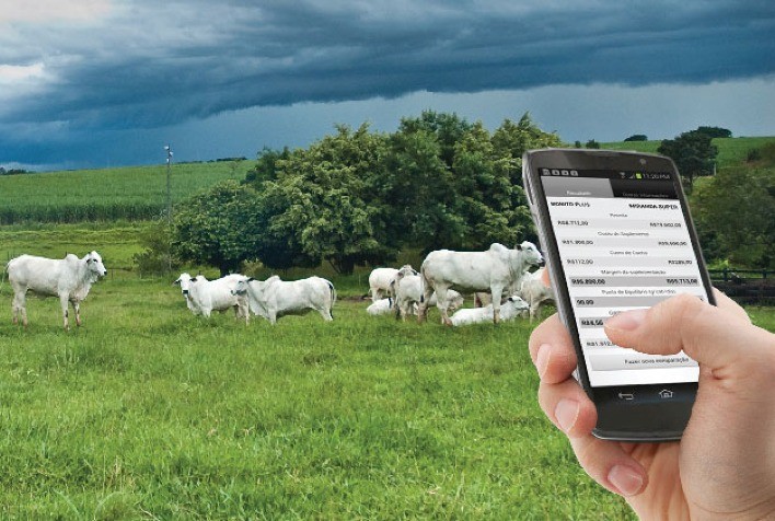 Aplicativos para pecuária precisam ser intuitivos e fáceis de usar, diz diretor da Bovitech
