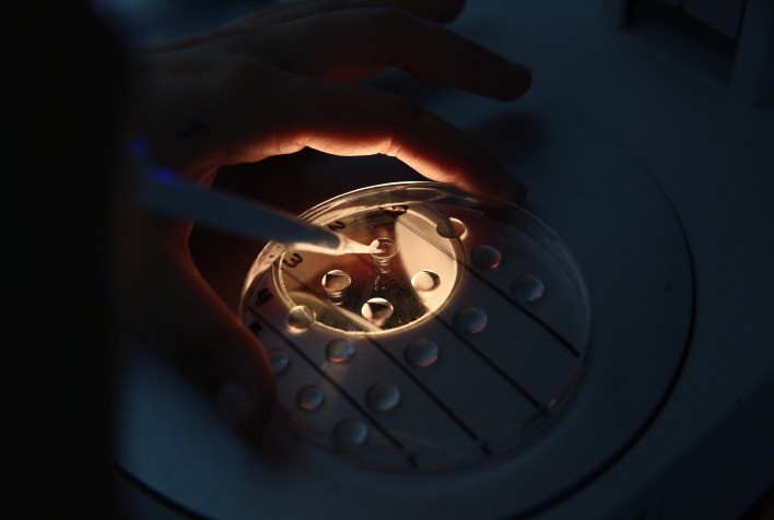 Tecnologia e crescimento marcaram setor da genética bovina em 2021