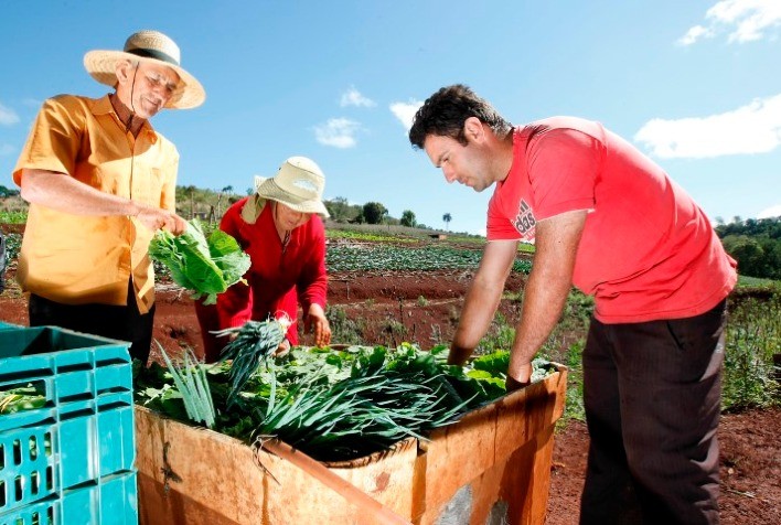 Agricultores familiares contarão com verba na pandemia