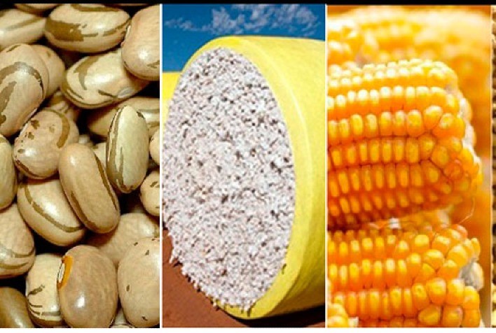 CEPEA/Retrospectivas de 2021: Confira análises setoriais