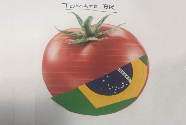 Tomate BR, associação voltada ao fomento da cadeia de atomatados, reúne e representa aproximadamente 80% das indústrias do setor