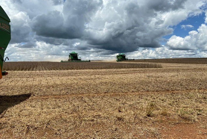 AgRural: Com PR e MT em campo, 0,2% da área do Brasil está colhida