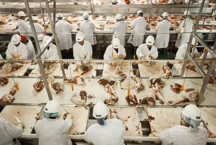 Paraná ganha frigorífico de R$ 83 milhões