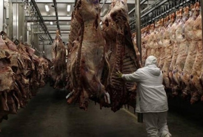 ABRAFRIGO: Exportações totais de carne bovina fecham 2021 com queda de 7% no volume e aumento de 9% na receita