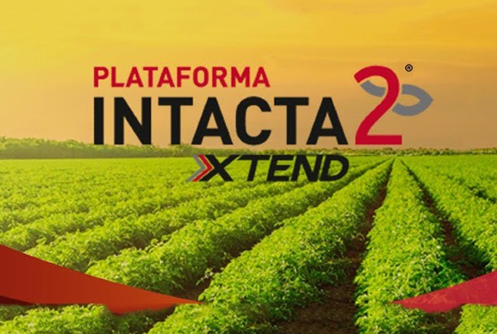 INTACTA 2 XTEND® lança aplicativo gratuito que ajuda a planejar safra e regular pulverizadores