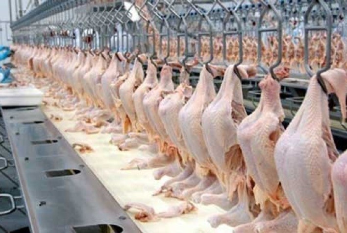 Exportação de carne de frango para os Emirados Árabes aumenta em quase 30% em 2021