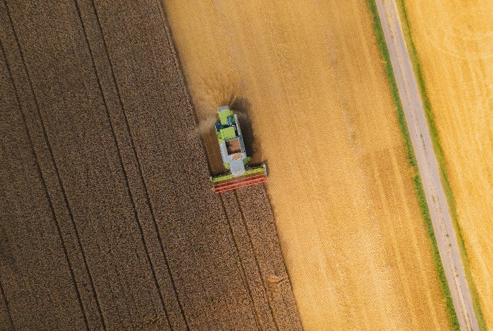 Bertuol Fertilizantes aposta no SAP S/4HANA para promover produtividade, compliance e inovação nos processos