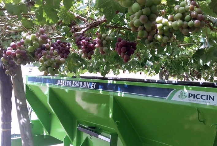 Aplicar adubo orgânico sólido não é igual ao convencional