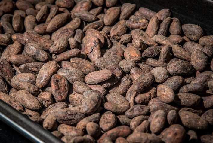 Moagem de cacau cresce 4,43% e encerra 2021 com 224.168 toneladas