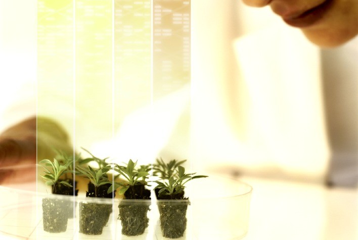 Bayer convida pesquisadores globais a apresentarem novos compostos para proteção de cultivos por meio do novo programa Testing4Ag