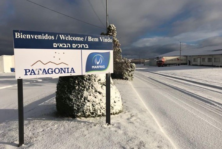 Marfrig investe na produção de cordeiro da Patagônia