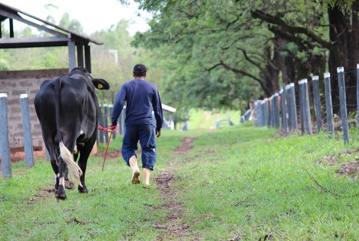 Central Tairana amplia estrutura para atender o crescimento da pecuária brasileira