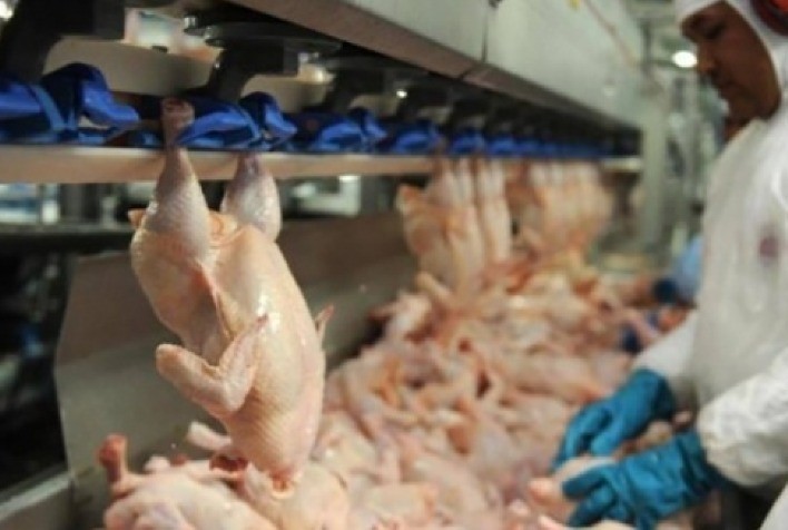 Mercado tem queda nos preços do frango inteiro