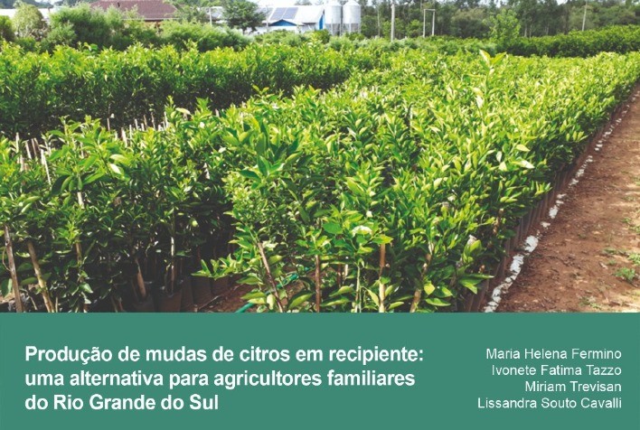 A produção de mudas de citros em recipientes traz vantagens para o pequeno agricultor, destaca pesquisa do DDPA