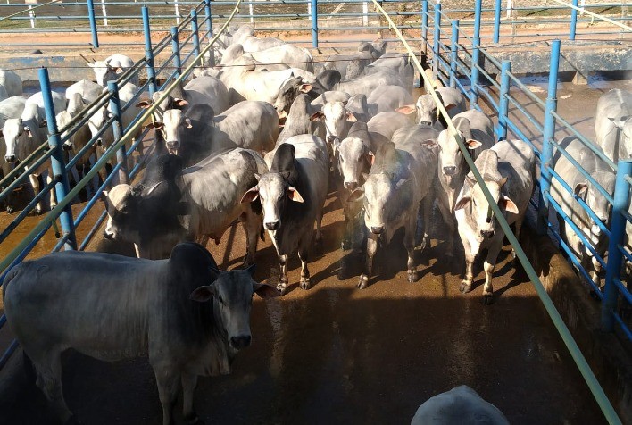 Movimento compassado em São Paulo