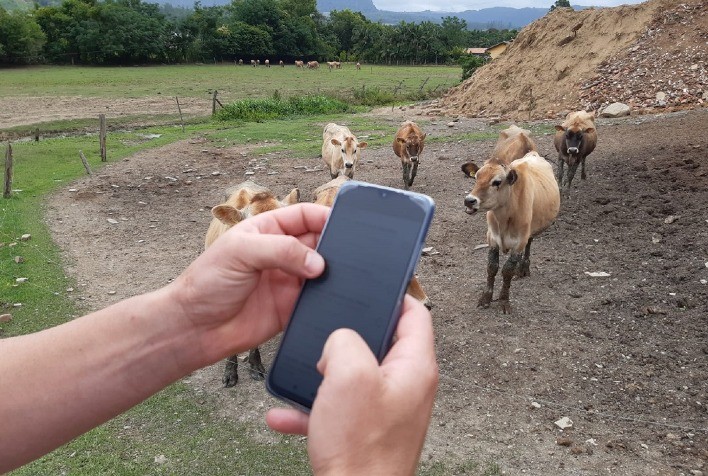 Prefeitura de Presidente Getúlio, em SC, reduz utilização de papel com tecnologia