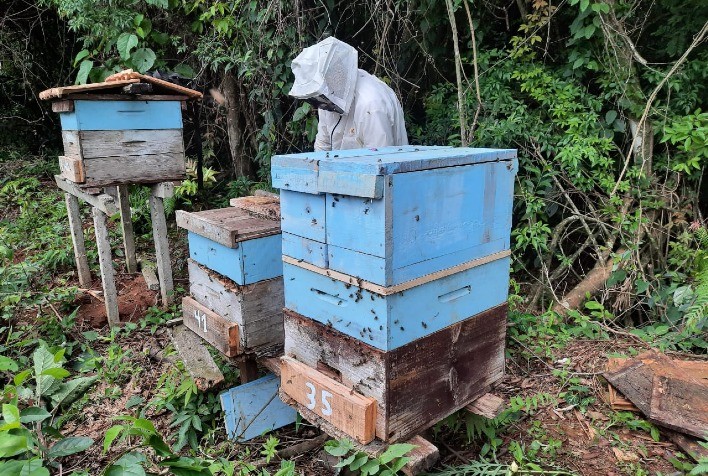 Apicultura catarinense é destaque em qualidade