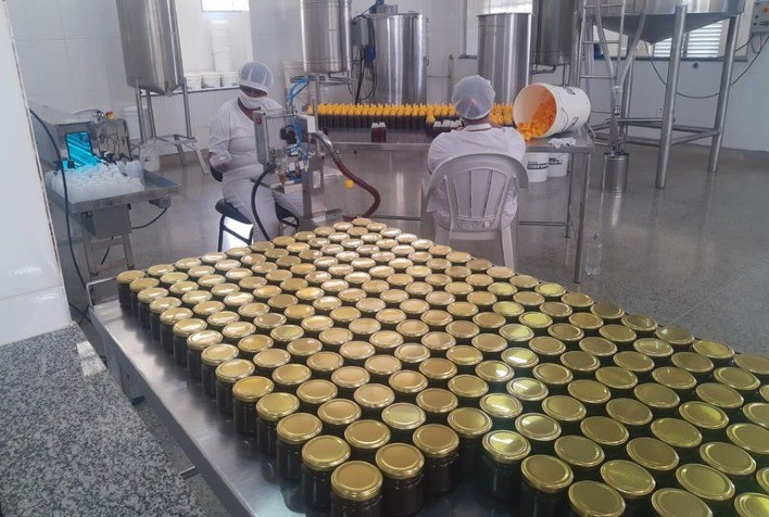 Mel do Norte de Minas Gerais recebe Indicação Geográfica por suas características únicas e terapêuticas