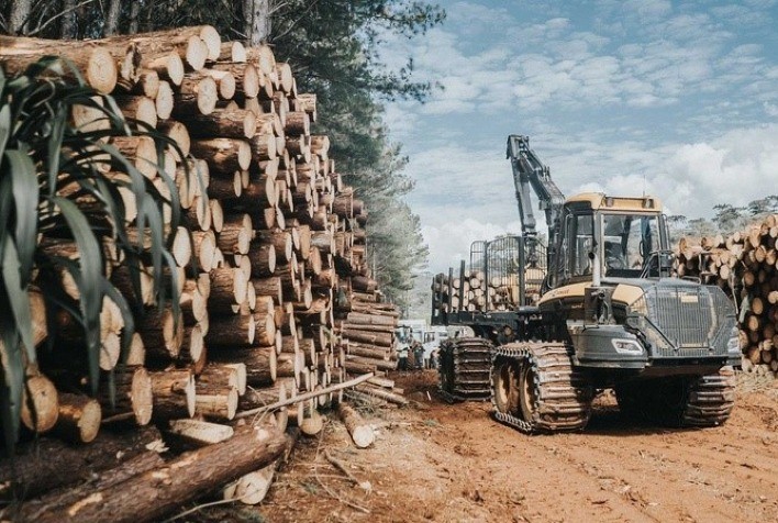 Forwarder Buffalo King: gigante na movimentação florestal