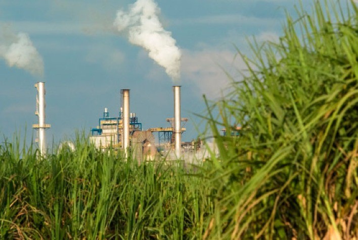 A inesperada reviravolta das usinas de cana-de-açúcar - Por Alexander Busch