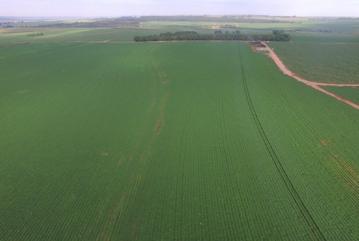 Circuito Técnico mostra tecnologias para soja e milho