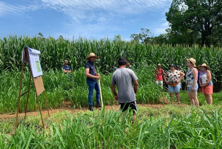 Produtores de leite do sul participam de visitas técnicas em unidades demonstrativas