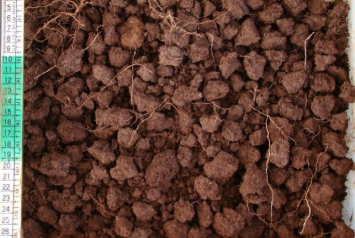 Diagnóstico do solo pode ser incrementado durante Hackathon no Show Rural