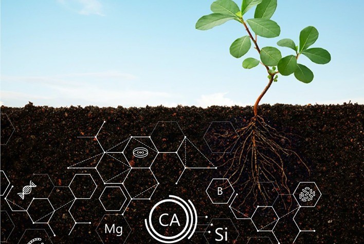 Como os fertilizantes orgânicos contribuem para a saúde do solo