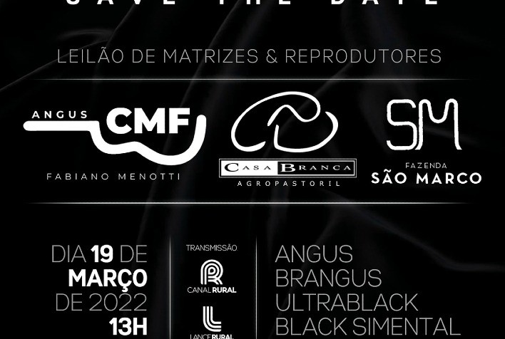 Propriedades reunirão genética Angus em Leilão de Matrizes e Reprodutores em março