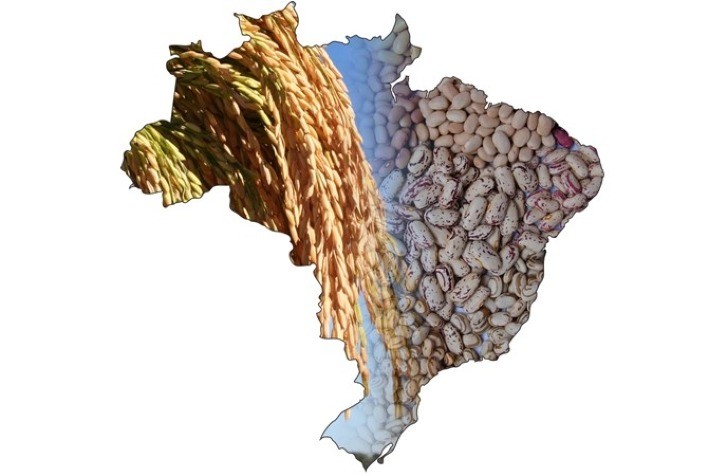 De onde vem e para onde vai o vínculo do arroz e do feijão com os brasileiros