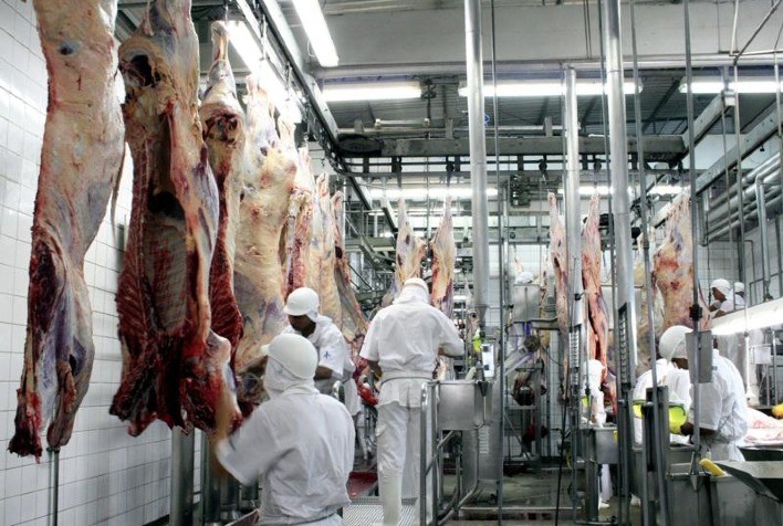 Frigoríficos em em Mato Grosso reduzem atividades; cotação do boi e vaca diminui