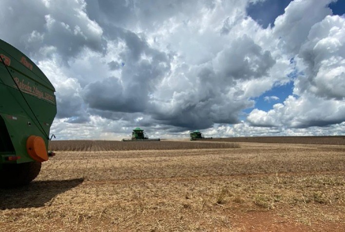 Soja apresenta 1% da área total cultivada colhida no Rio Grande do Sul