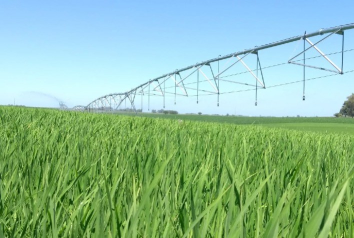 Sistema de irrigação por pivô central ganha espaço entre os produtores rurais