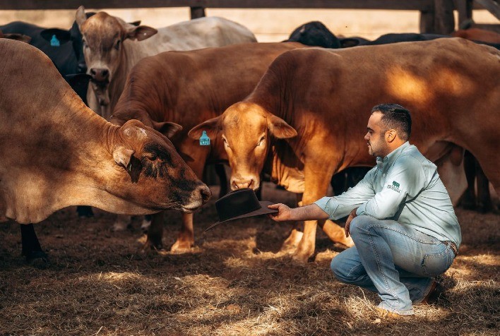 JP Agronegócios foca seleção do gado Montana na alta produtividade