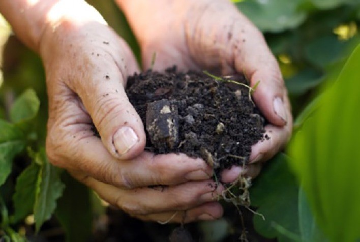 Fertilizantes orgânicos têm papel estratégico para o Brasil com guerra entre Rússia e Ucrânia