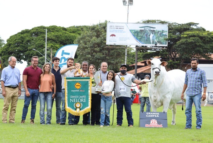 Animais Nelore Casa Branca são premiados na Expoinel Minas 2022