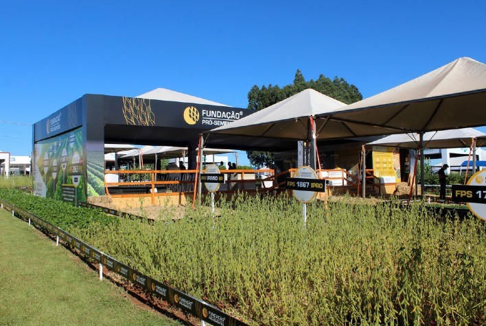 Fundação Pró-Sementes leva seu portfólio de cultivares para a Expodireto Cotrijal