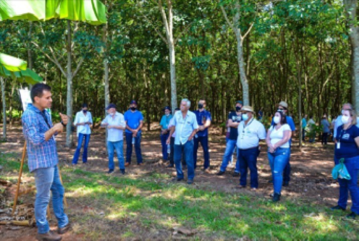 Dia de Campo realizado pela CATI e por parceiros reúne mais de 150 interessados na cultura, que desponta com potencial no noroeste paulista