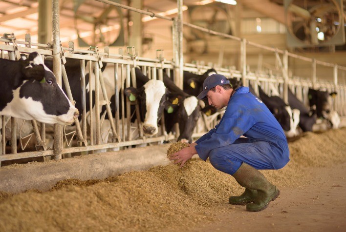 Aliado da silagem de milho ganha espaço durante a safra de inverno