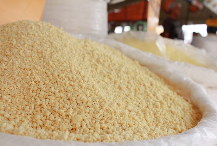 Farinha de folha de mandioca biofortificada com 50 vezes mais ferro vegetal que a tradicional: este é o resultado de pesquisa do IAC e Unicamp