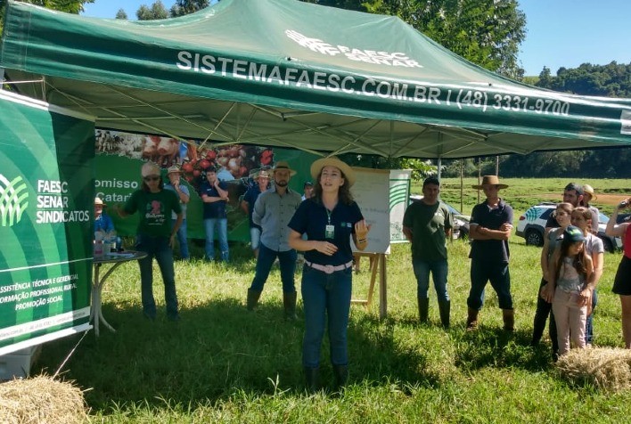 Dia de Campo reúne produtores de gado de corte em Serra Alta