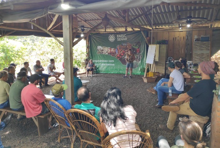 Apicultura em expansão