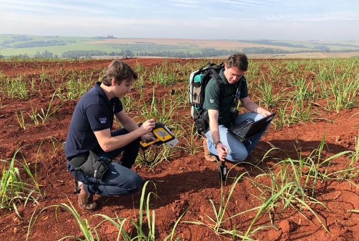 Grupo da Esalq cria plataforma online para análise de solo